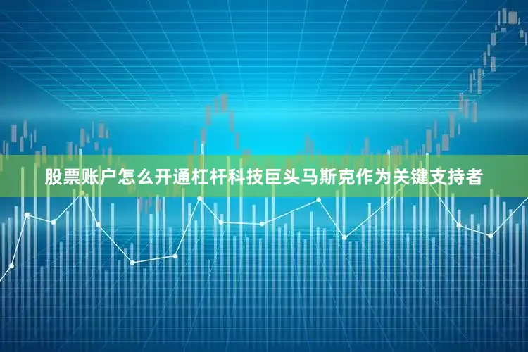 股票账户怎么开通杠杆科技巨头马斯克作为关键支持者