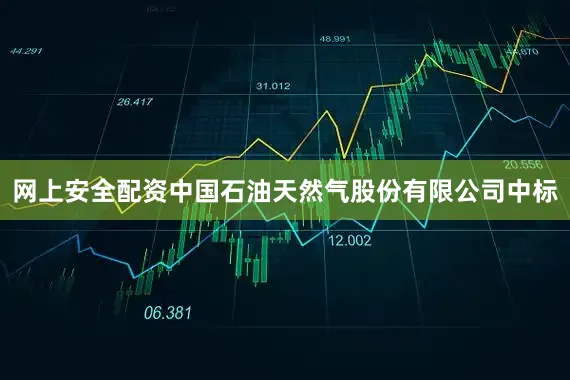 网上安全配资中国石油天然气股份有限公司中标