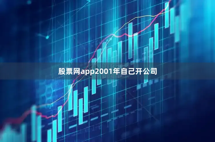 股票网app2001年自己开公司